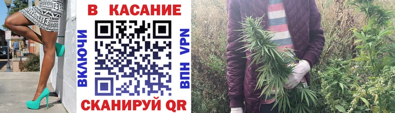Где купить Ардатов A-PVP  Псилоцибиновые грибы  АМФ  МАРИХУАНА  МЕФ 